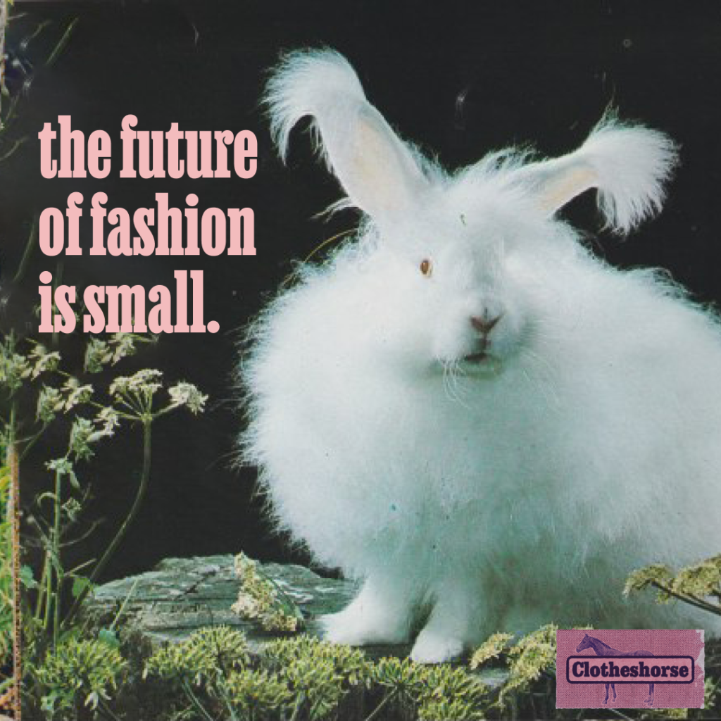 the future of fashion is small.