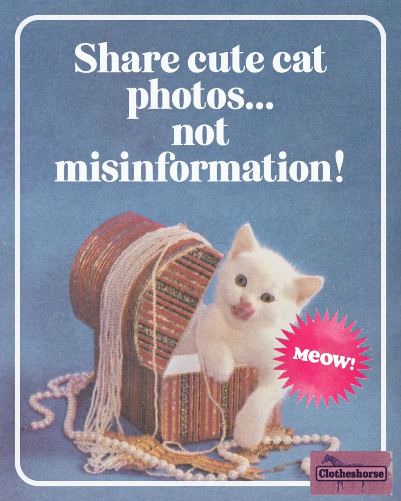 Share cute cat photos...not misinformation!