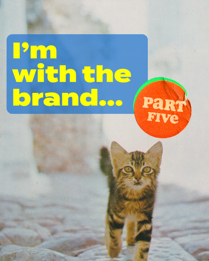 I'm with the brand part five: customer data