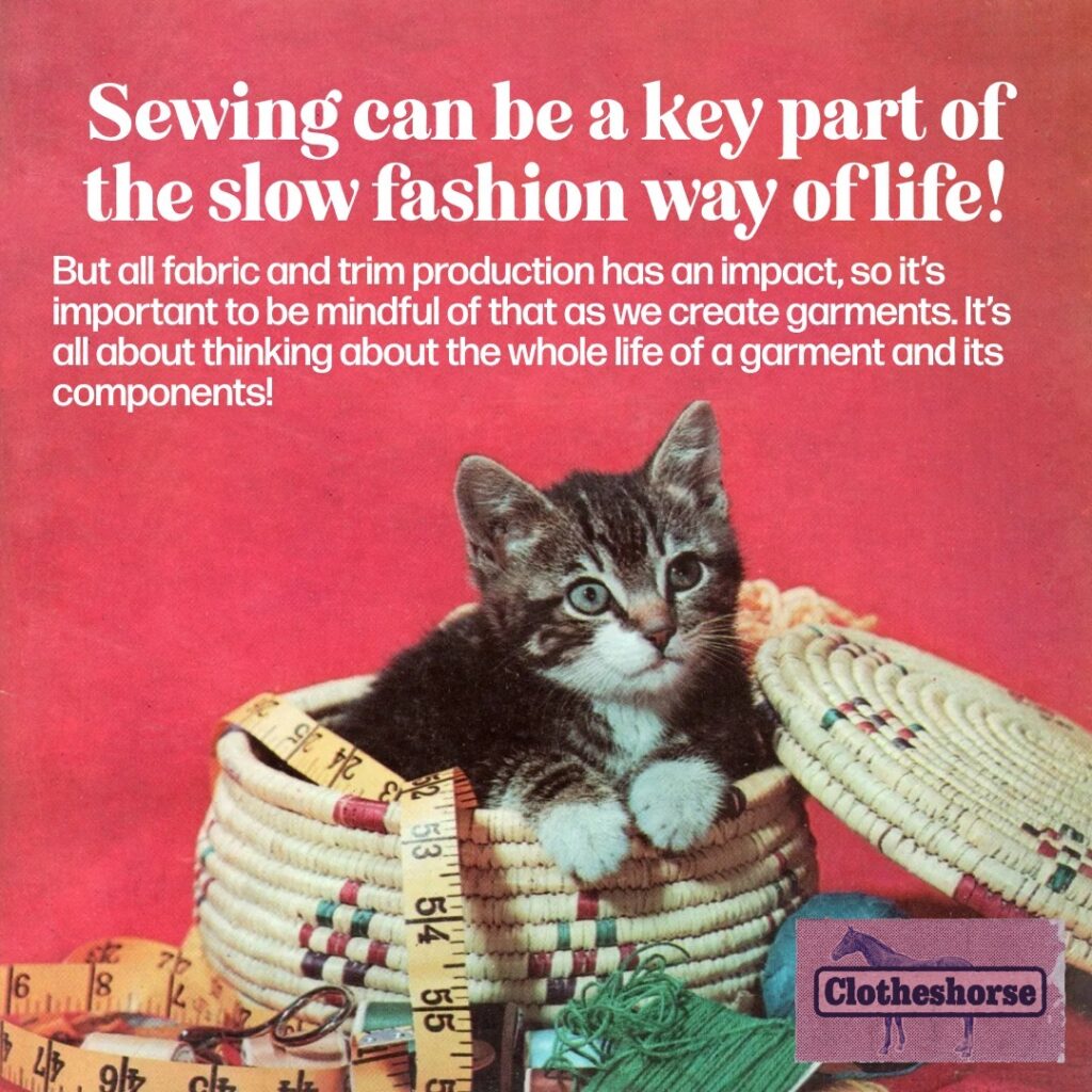 Episode 166 Unpacking Dress Codes with Ruby and Maggie (part two