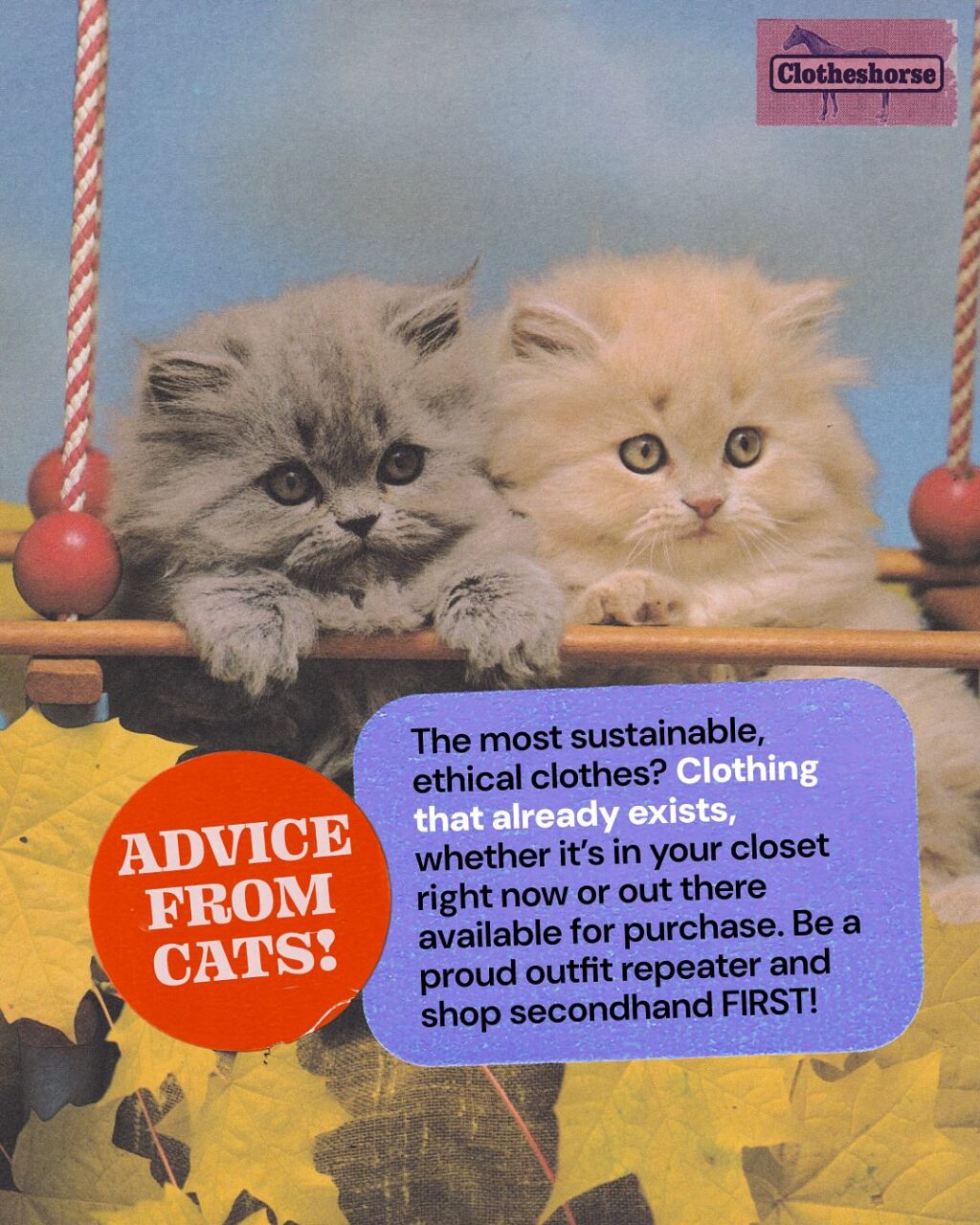 The idea of living a more sustainable, ethical lifestyle can feel really overwhelming in the beginning.

There’s the fear that you’re going to have to give up everything that brings you joy. That you’ll have to wear a beige hemp tunic every day for the rest of your life. That you’ll literally never have a fun again. That you have to throw everything you own in the trash and start all over again.

Slow fashion is a journey and it all has to start somewhere. I’ve been doing this in a serious way since 2020 and I haven’t worn a single hemp tunic yet! I don’t even own any beige clothing (okay, that’s a lie, I do have a beige bra). I’m still wearing the clothes that were in my closet in 2019. And I promise, I’m kind of always laughing and doing something kind of silly...you know, like making a whole wall out of thrifted artificial fruit.

The easiest, most sustainable things you can do right off the bat? Start disrupting the wasteful, consumerist habits that we take for granted right now:

🐴 Stop buying and wearing the “single use” tees that get forced on us for office events, bachelorette parties, family reunions, etc. And explain why you don’t want to be a part of it. Maybe even offer less wasteful alternatives, like everyone wears the same color that day or using iron-ons on secondhand tees.

🐴 Don’t buy a brand new suitcase full of clothes for your vacation. Pack your favorite clothes instead! If you’re going to a different climate, consider renting clothes.

🐴 Skip the urge to “haul” because it’s not really as exciting as it seems.

🐴 Opt out of office, trade show, and event swag. I know this one is HARD (I have been the annoying “woke” person at every job), but this is a great time to offer better suggestions. Often I find that people just don’t know what they don’t know, but they have good intentions and want to do the right thing for the planet.

🐴 Use your reusable tote bags!

What was the first “easy” step you took to be more sustainable? Take a minute to pat yourself on the back… and then tell us in the comments!