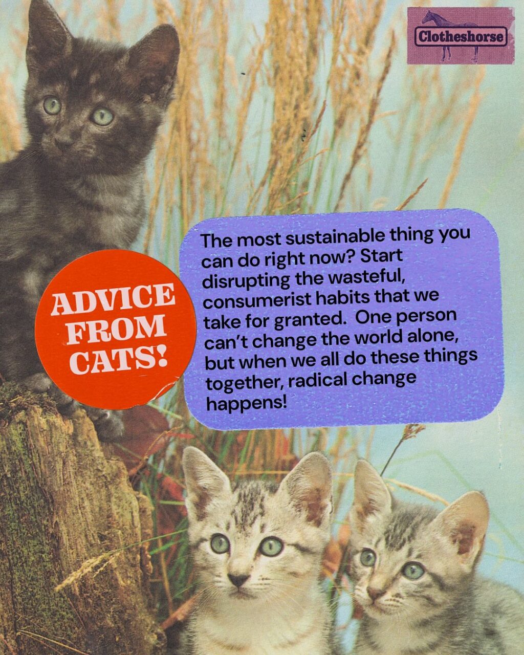 The idea of living a more sustainable, ethical lifestyle can feel really overwhelming in the beginning.

There’s the fear that you’re going to have to give up everything that brings you joy. That you’ll have to wear a beige hemp tunic every day for the rest of your life. That you’ll literally never have a fun again. That you have to throw everything you own in the trash and start all over again.

Slow fashion is a journey and it all has to start somewhere. I’ve been doing this in a serious way since 2020 and I haven’t worn a single hemp tunic yet! I don’t even own any beige clothing (okay, that’s a lie, I do have a beige bra). I’m still wearing the clothes that were in my closet in 2019. And I promise, I’m kind of always laughing and doing something kind of silly...you know, like making a whole wall out of thrifted artificial fruit.

The easiest, most sustainable things you can do right off the bat? Start disrupting the wasteful, consumerist habits that we take for granted right now:

🐴 Stop buying and wearing the “single use” tees that get forced on us for office events, bachelorette parties, family reunions, etc. And explain why you don’t want to be a part of it. Maybe even offer less wasteful alternatives, like everyone wears the same color that day or using iron-ons on secondhand tees.

🐴 Don’t buy a brand new suitcase full of clothes for your vacation. Pack your favorite clothes instead! If you’re going to a different climate, consider renting clothes.

🐴 Skip the urge to “haul” because it’s not really as exciting as it seems.

🐴 Opt out of office, trade show, and event swag. I know this one is HARD (I have been the annoying “woke” person at every job), but this is a great time to offer better suggestions. Often I find that people just don’t know what they don’t know, but they have good intentions and want to do the right thing for the planet.

🐴 Use your reusable tote bags!

What was the first “easy” step you took to be more sustainable? Take a minute to pat yourself on the back… and then tell us in the comments!
